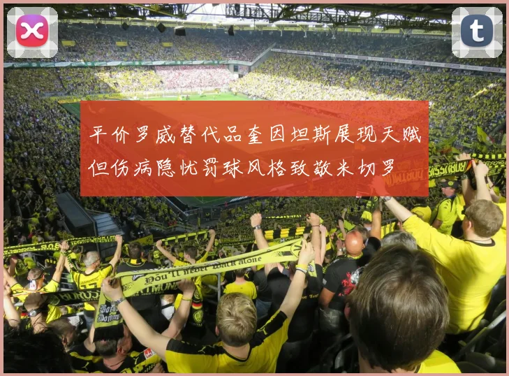 平价罗威替代品奎因坦斯展现天赋但伤病隐忧罚球风格致敬米切罗